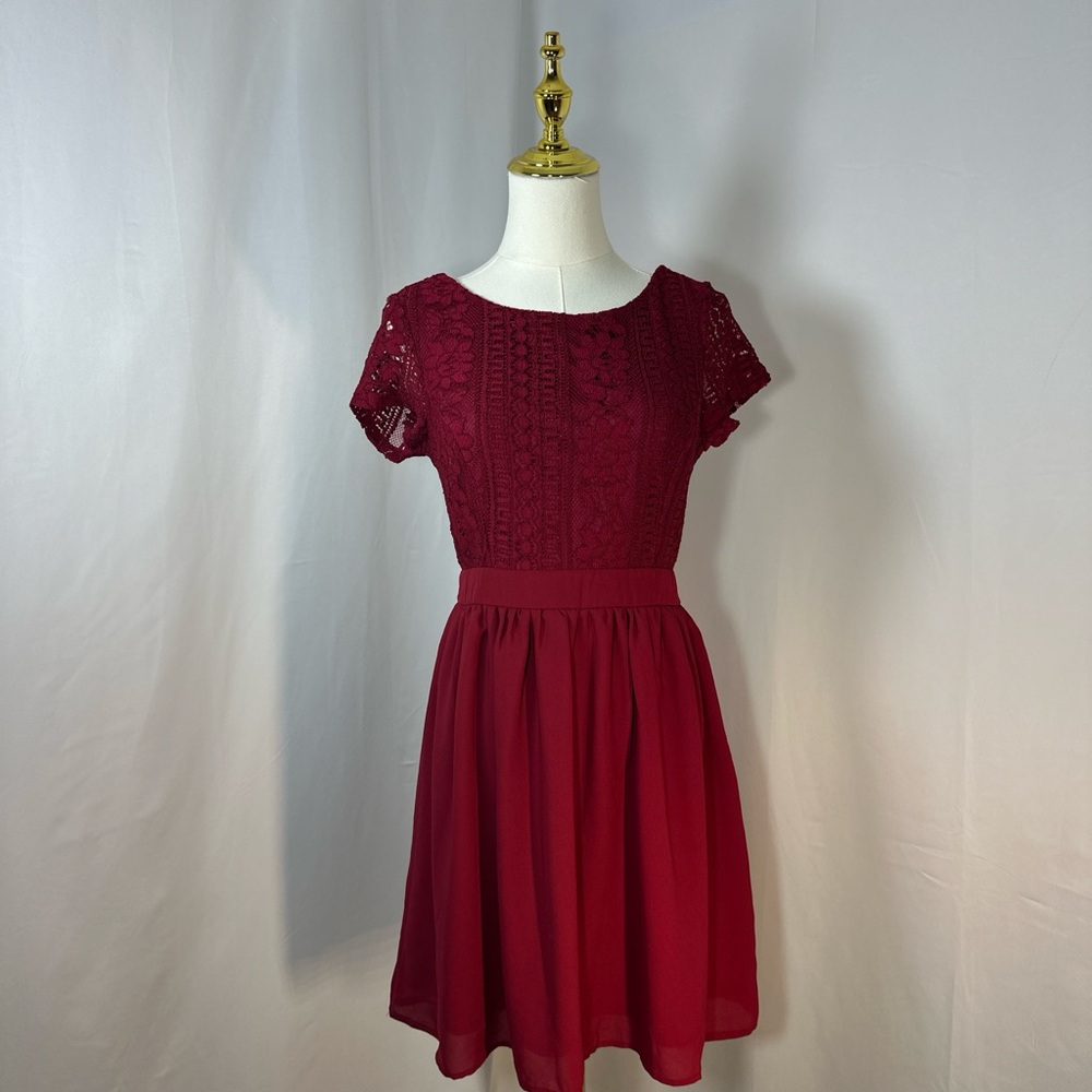 Francesca's Collections Burgundy Lace Mini Dress